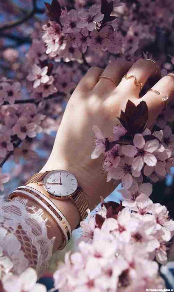 e33d7a90-646b-11ee-9ded-19bc7163d334.jpg