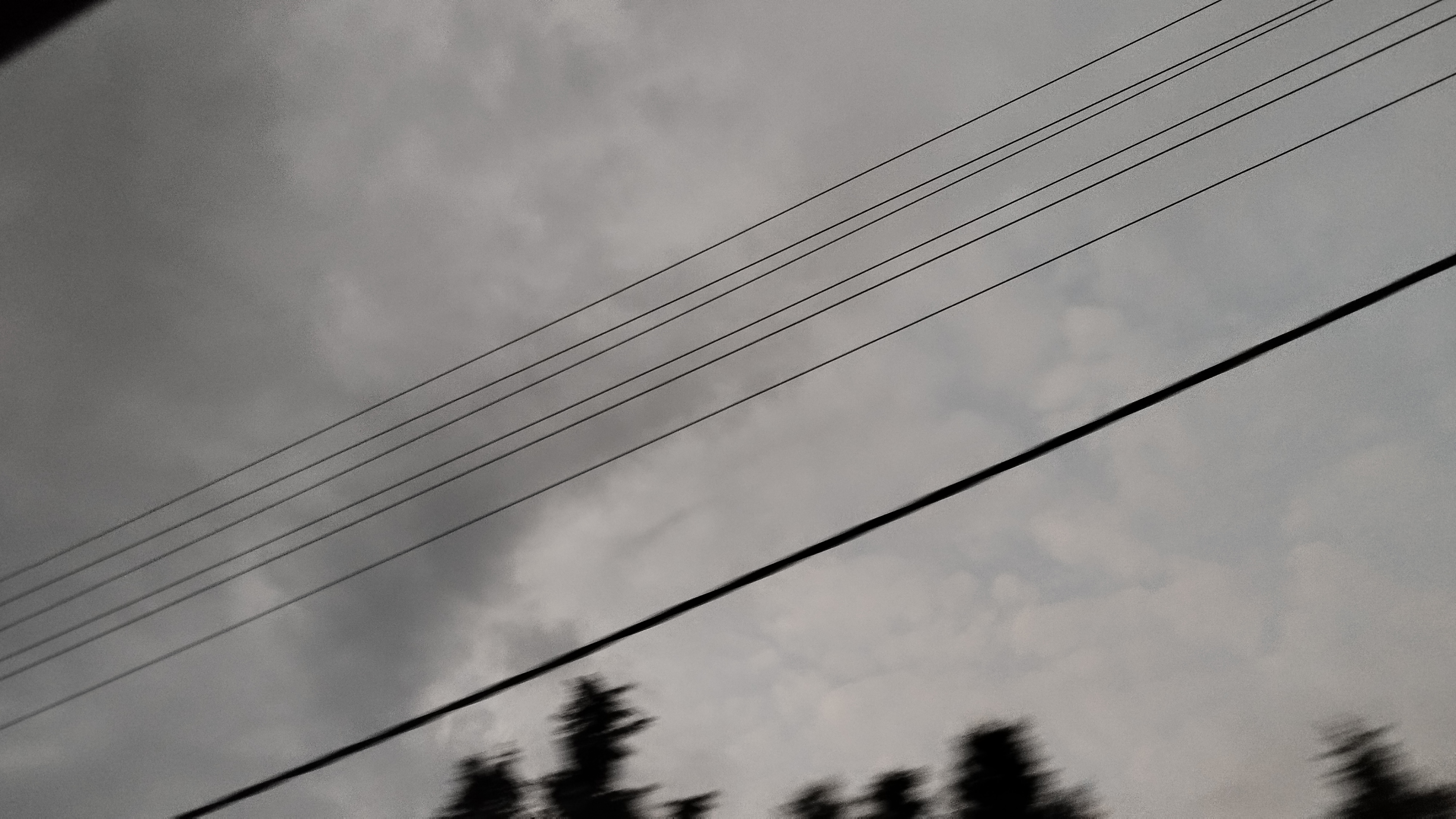 IMG_۲۰۲۴۰۸۱۵_۱۹۱۶۲۹.jpg