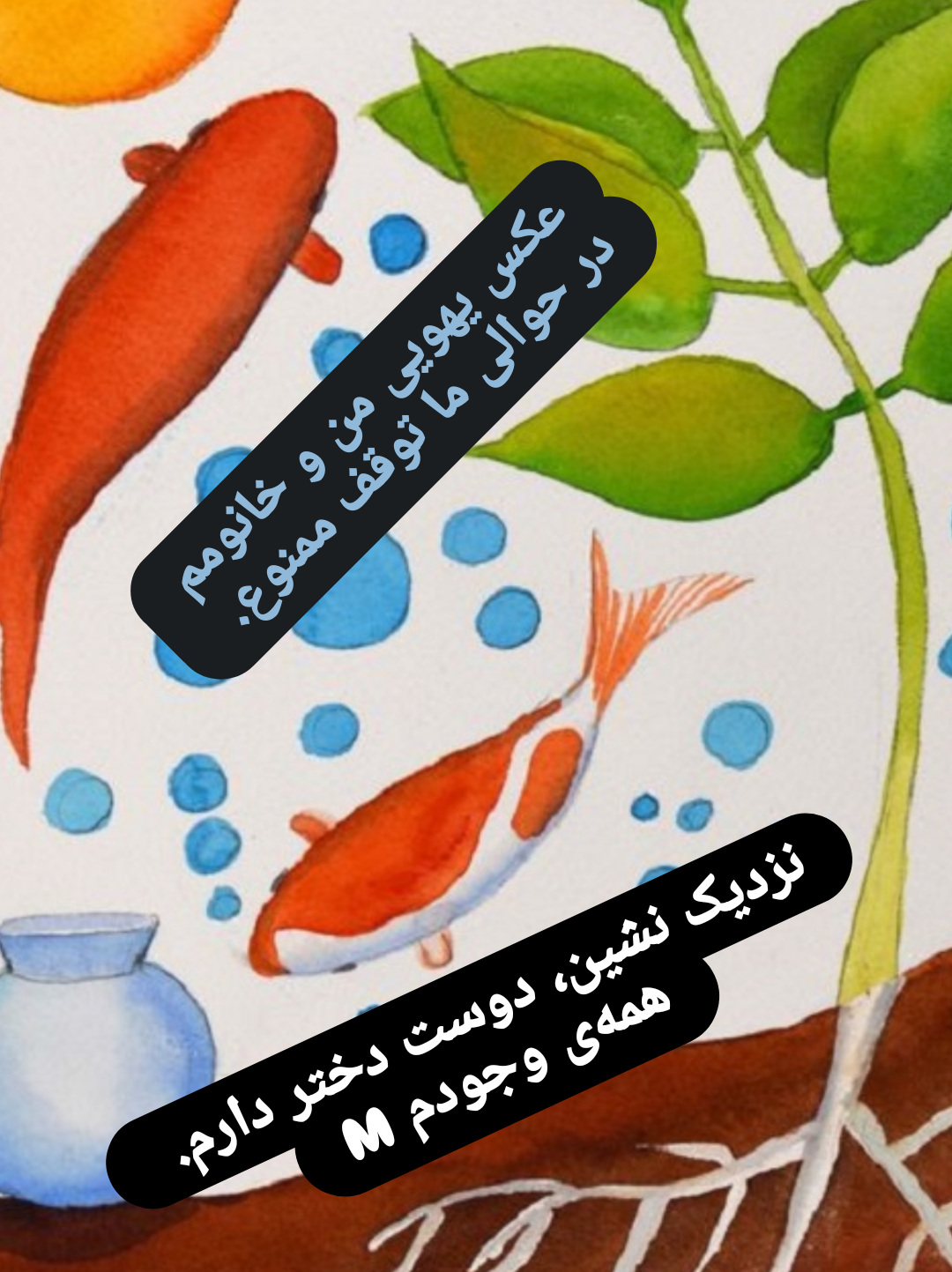 Screenshot_20240908-141056.png