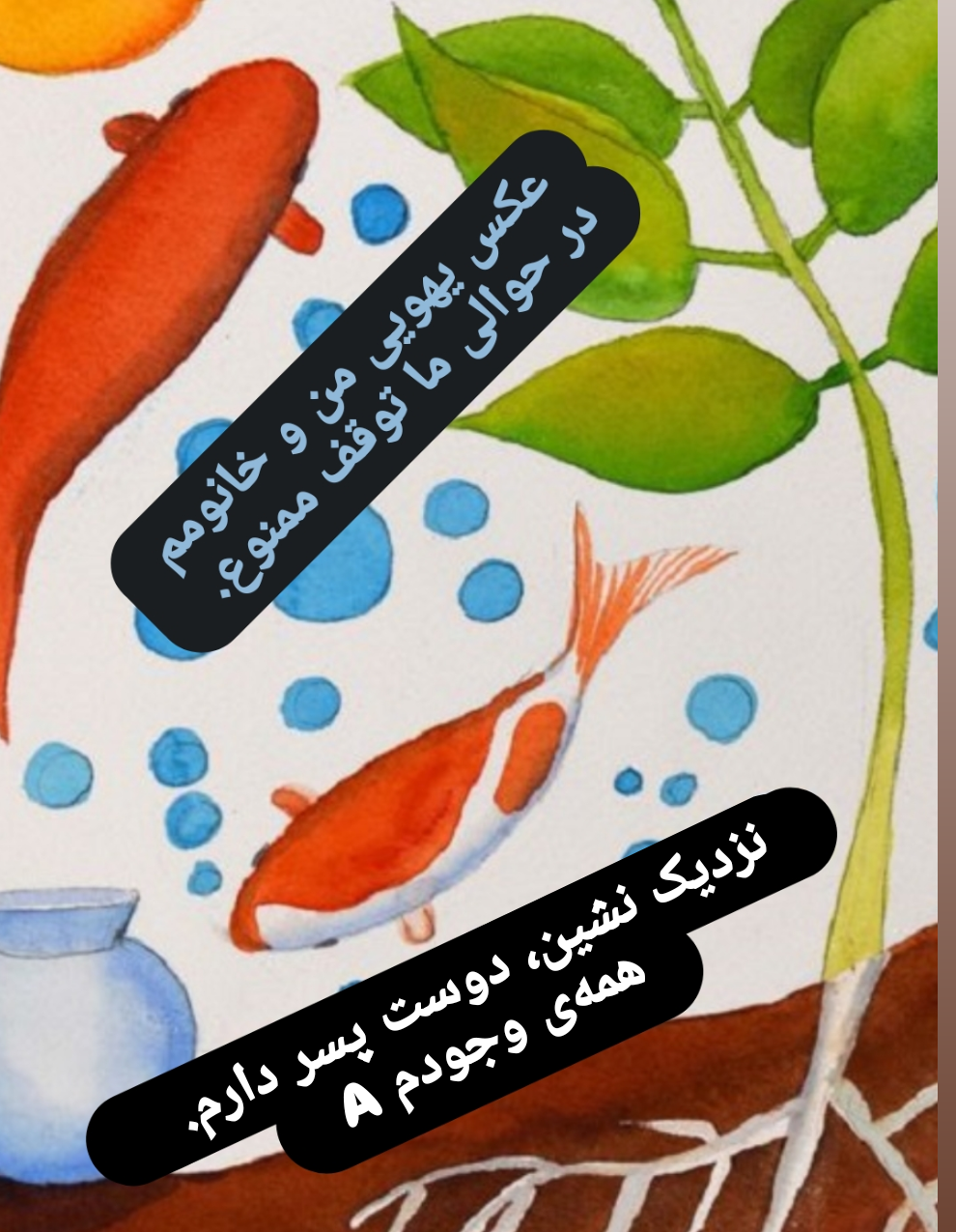 Screenshot_20240908-143034.png