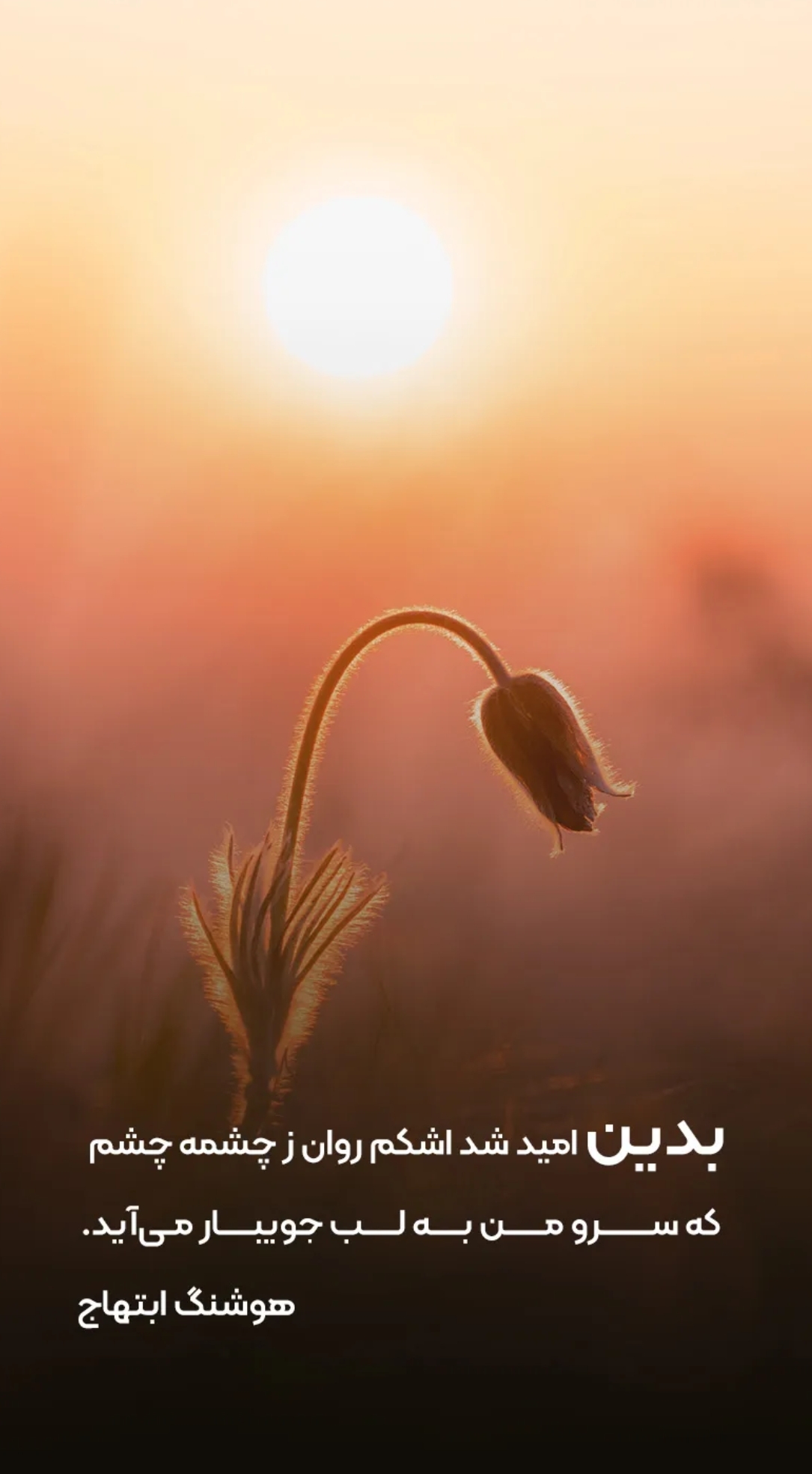 SmartSelect_۲۰۲۴۱۰۱۰_۱۶۱۸۱۵_Gallery.jpg