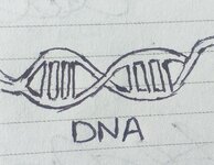 20230425_141926.jpg