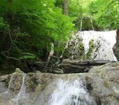 Hamgardi_15509awj575.jpg
