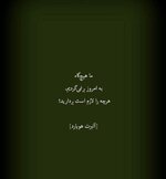 8343dfc63b5be08dd45b14ae3e583e3c.jpg