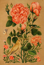 TASVIRESTAN_14705048_t.jpg