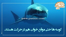 دانستنیهای-جالب-8.jpg