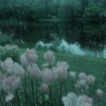 1704818248.771h.jpeg