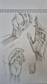 نق 888.png