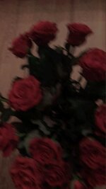 0f223c6ed5d9d3565de5dbc069a8ca14.jpg