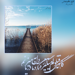 Negar_1710137708749.png