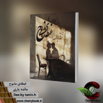Negar_1719564892986.png