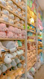 326a3a1c78213990e3dc351dae1b3d3b.jpg