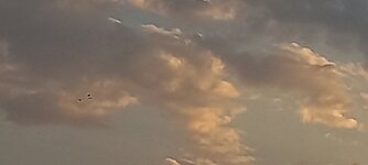 20231207_162727.jpg