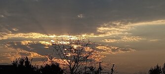 20231207_160801.jpg