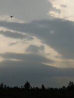 20230720_171944.jpg