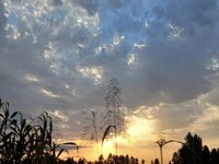 20230706_184106.jpg