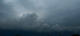 20240801_171952.jpg