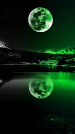 WallpaperGram.IR_1562081093_z24213.jpg