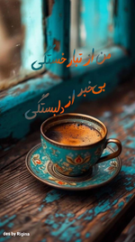 Negar_1723742499928.png