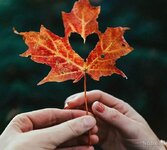 nody-عکس-پاییز-برای-پروفایل-واتساپ-1635151410.jpg