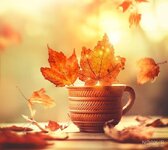 nody-پروفایل-پاییزی-لاکچری-1635151411.jpg