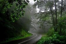 جاده-چالوس1-1.jpg
