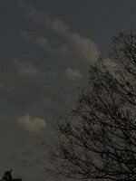 IMG_9587.jpeg