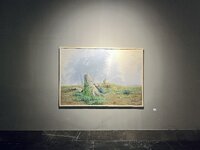 IMG_7769.jpeg
