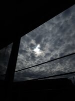 20241128_112546.jpg