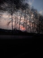 IMG_20241227_192612_457.jpg