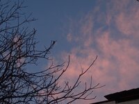 20250112_070823.jpg