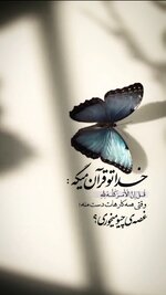 IMG_۲۰۲۵۰۱۲۰_۱۶۳۶۴۱.jpg
