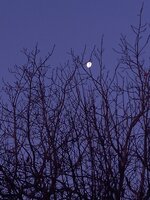20250118_065933.jpg