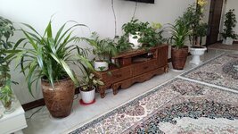 IMG_20250128_113924.jpg