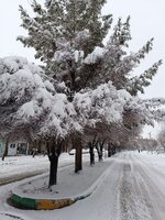 IMG_20250207_114738.jpg