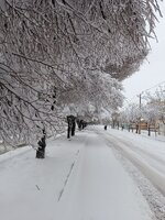 IMG_20250207_114815.jpg