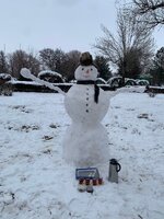 IMG_20250207_114709.jpg
