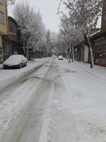IMG_20250207_114610.jpg