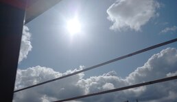 20250210_120451.jpg