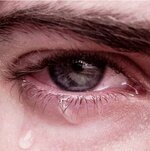 SmartSelect_۲۰۲۵۰۲۲۲_۲۱۰۲۲۶_Gallery.jpg