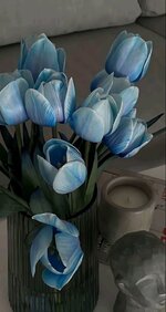 7743abbf57da06305d25da1dc496fbf1.jpg
