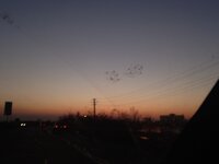 20250313_181944.jpg