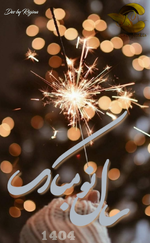 Negar_1742573354492.png