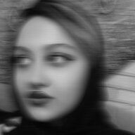 آل۱۱