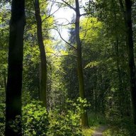 ستایش شهریوری