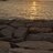 Hamed_B4j